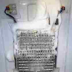 Mantenimiento de Vitrina GELUM 4